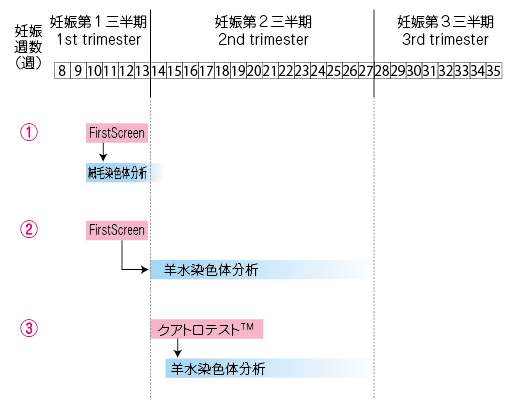 出生前検査タイムスケジュール表